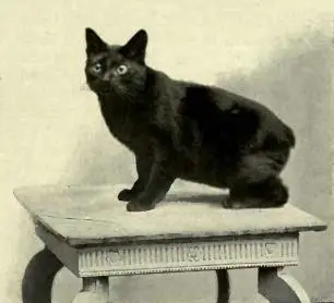 Manx