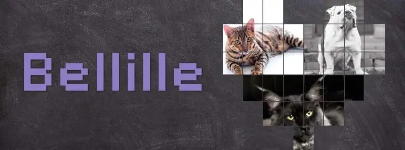 Toyger
